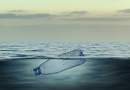Latest News on Environmental Policies Around the World
